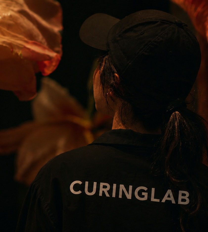 CURINGLAB 플랜테리어 솔루션