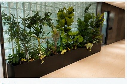 경기 주택공사 · 실내조경